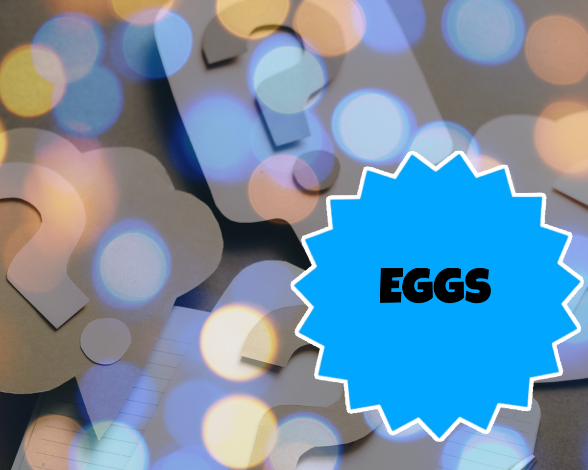 Mystery Eggs