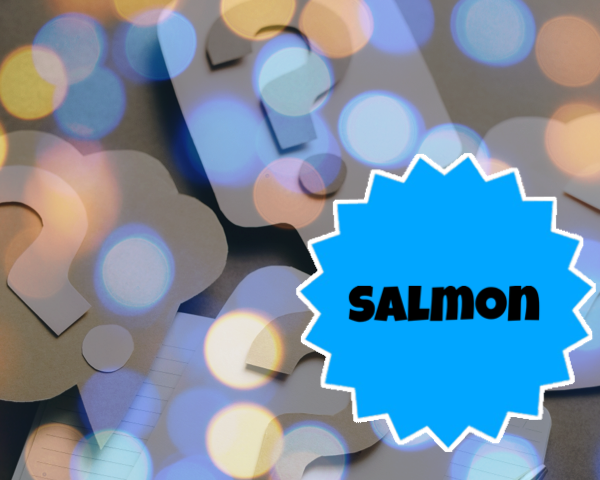 Salmon